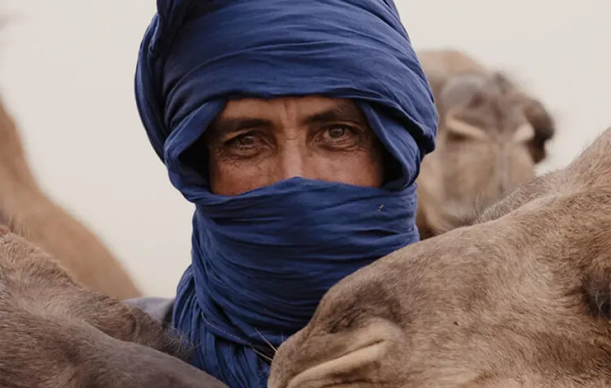 Image gallery marquee